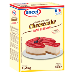 Garniture cheescake sans cuisson 1,2kg - Alsa